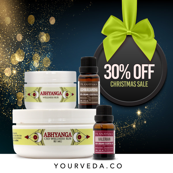 CHRISTMAS SHOPPING 30% OFF on all products!